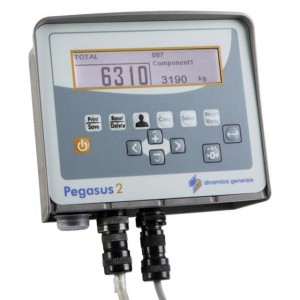PEGASUS