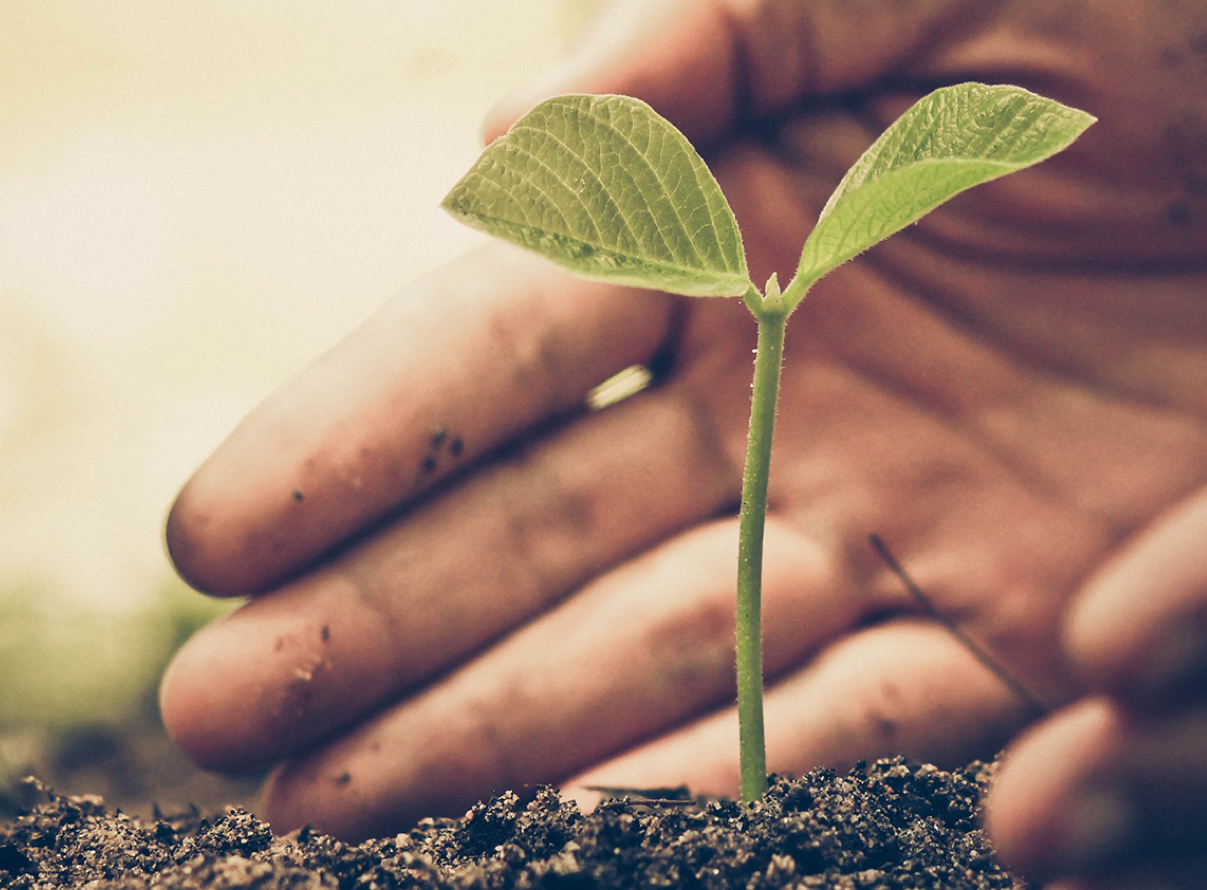 Compromisso socioambiental